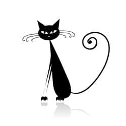 Black Cat
