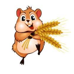 Hamster